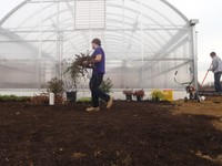 Horticulture